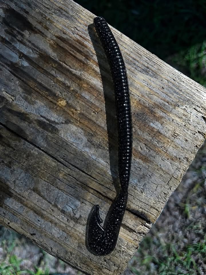 5" AR Worm / Speedworm (16-Pack)